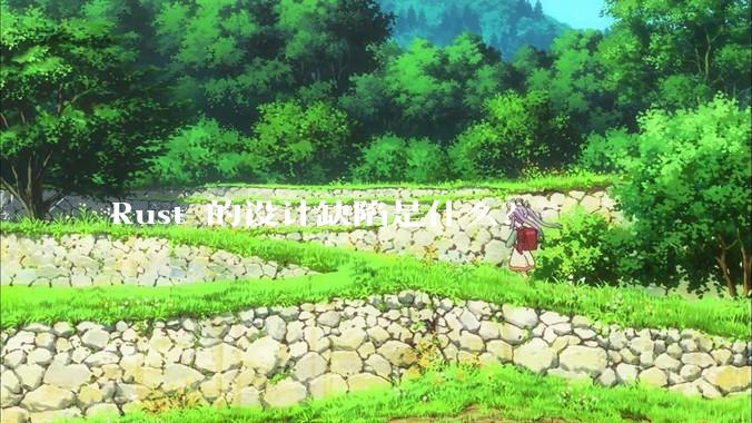 Rust 的设计缺陷是什么？