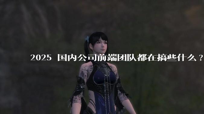 2025 国内公司前端团队都在搞些什么?