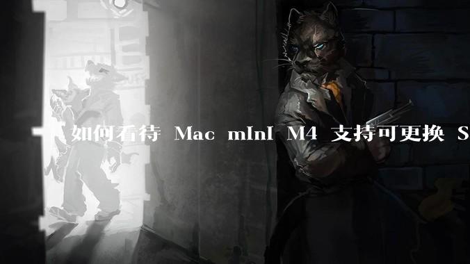 如何看待 Mac mini M4 支持可更换 SSD？