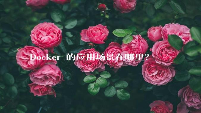 Docker 的应用场景在哪里？