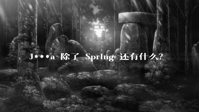 J***a 除了 Spring 还有什么？