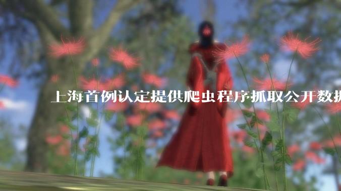 上海首例认定提供爬虫程序抓取公开数据构成提供侵入计算机信息系统程序罪案，该案件有哪些细节值得关注？