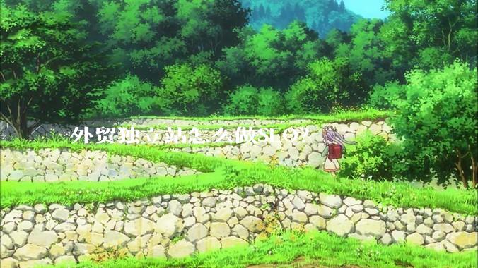 外贸独立站怎么做SEO？