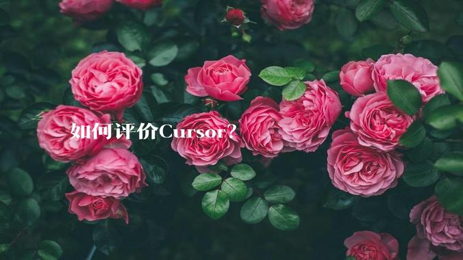 如何评价Cursor？