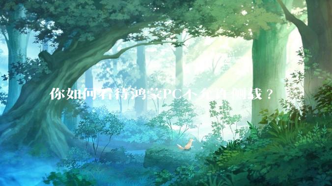 你如何看待鸿蒙PC不允许侧载?