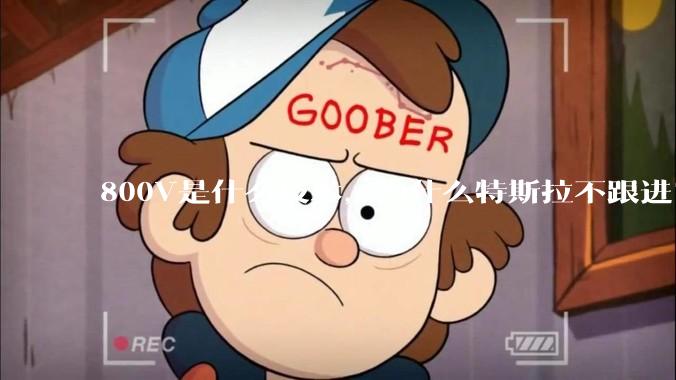 800V是什么技术，为什么特斯拉不跟进？