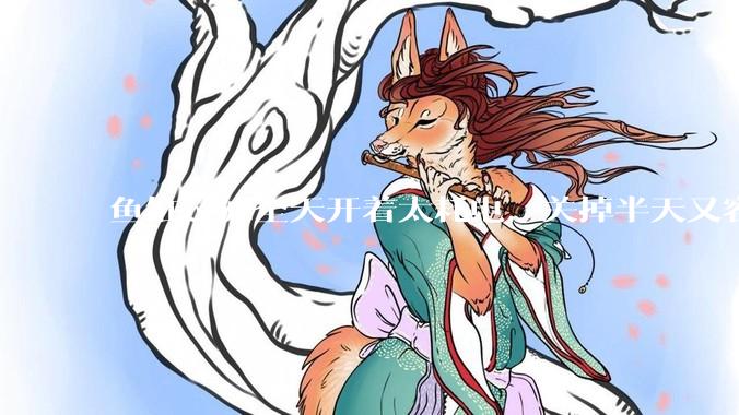 鱼缸过滤全天开着太耗电，关掉半天又容易水浑，有什么好办法？