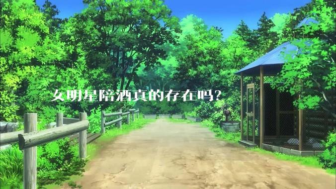 女明星陪酒真的存在吗？