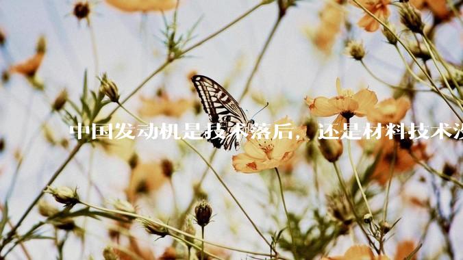 中国发动机是技术落后，还是材料技术没有攻克?