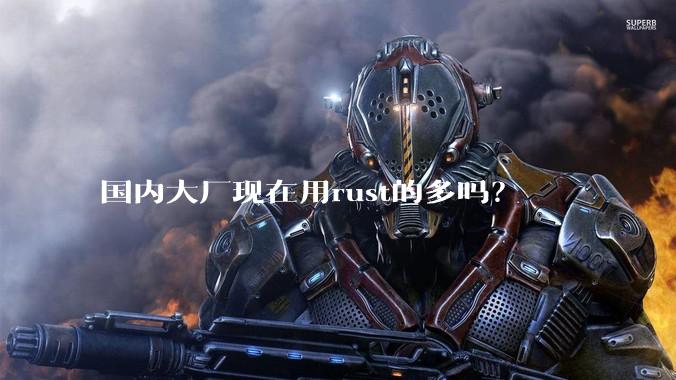 国内大厂现在用rust的多吗？
